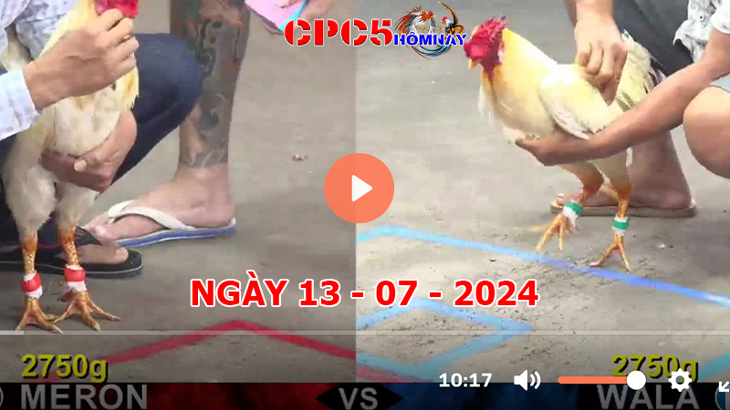 Đá gà CPC5 ngày 13-7-2024