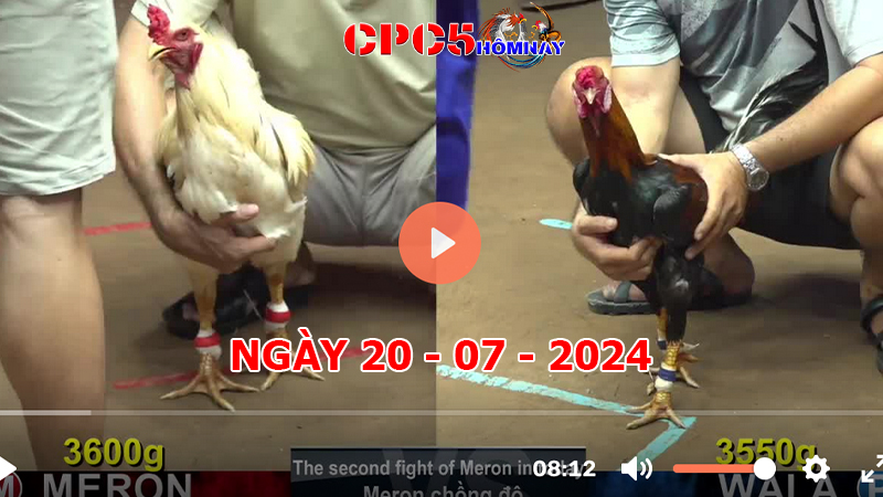 Đá gà CPC5 ngày 20-7-2024