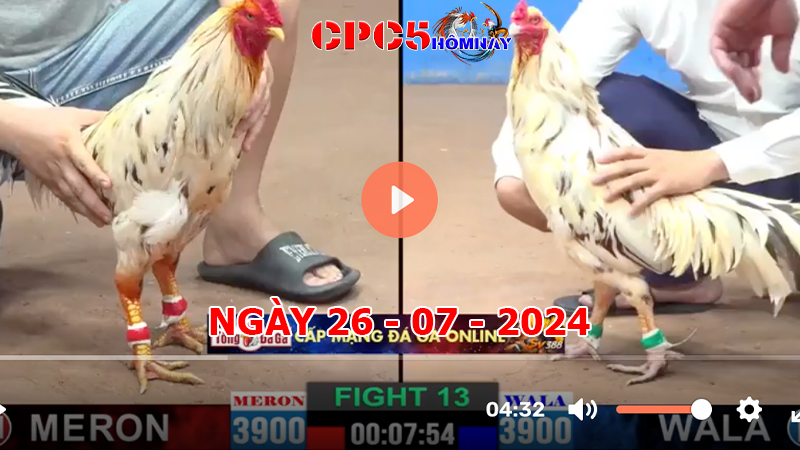 Đá gà CPC5 ngày 26-7-2024