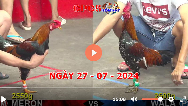 Đá gà CPC5 ngày 27-7-2024